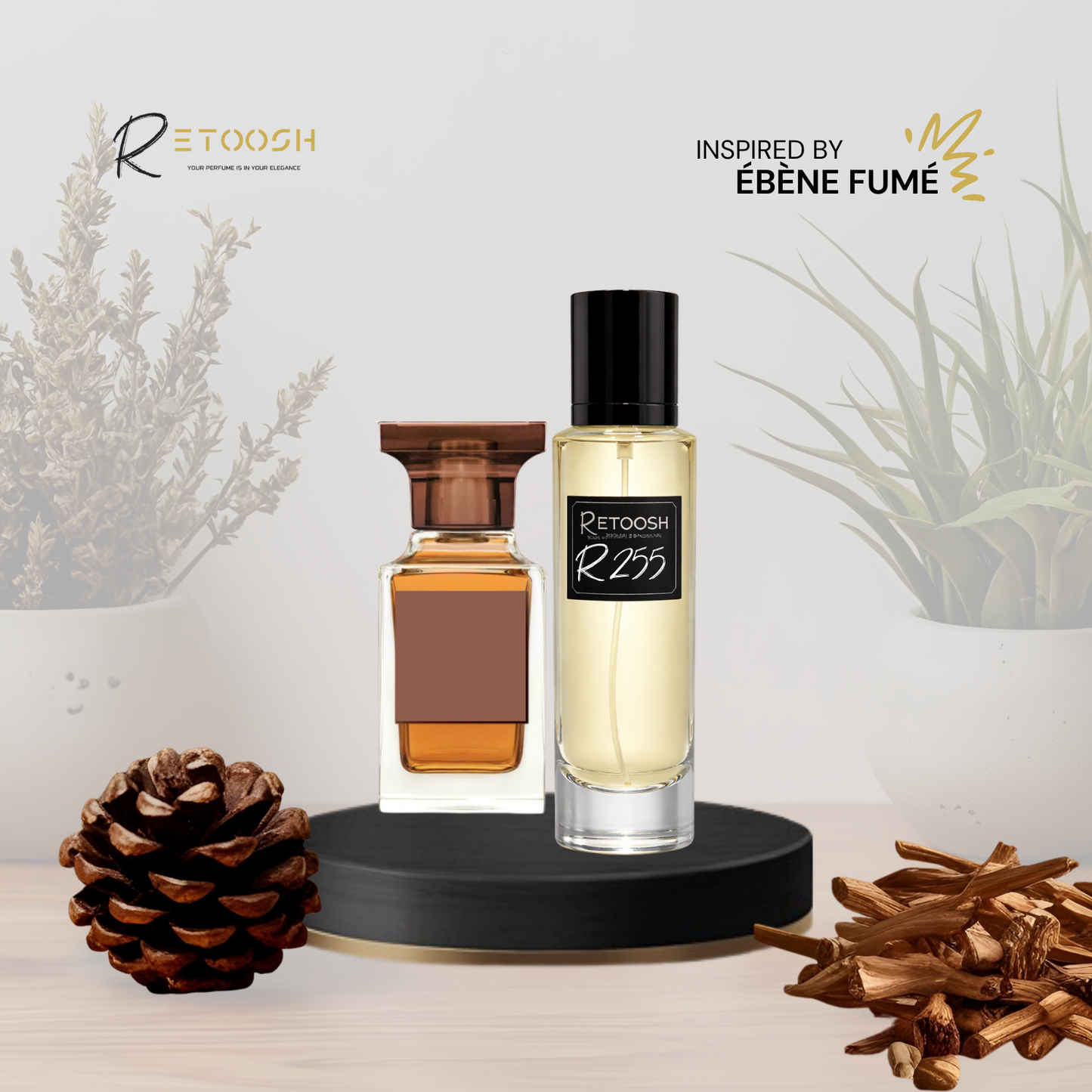 Fragrance of Mystical Woods | R255 for Women and Men | 50mL - Retoosh Perfumes